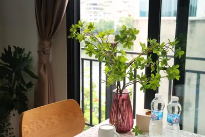 单卧室公寓 — Windy Lake View Hotel & Apartment Very Central